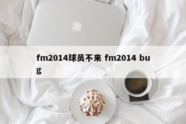 fm2014球员不来 fm2014 bug