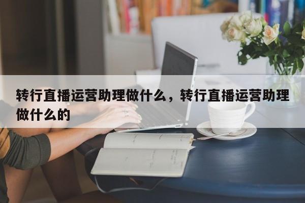 转行直播运营助理做什么，转行直播运营助理做什么的