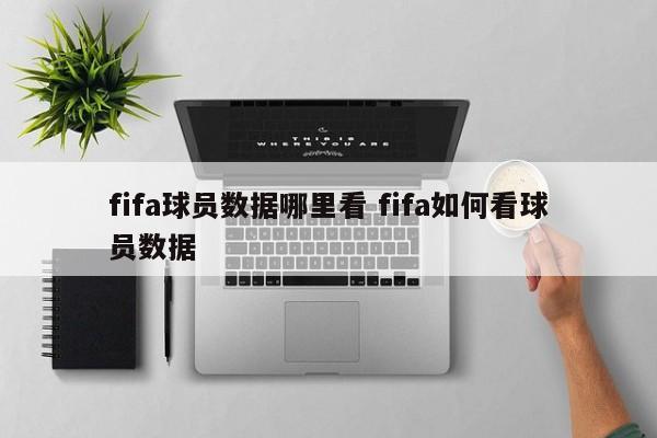 fifa球员数据哪里看 fifa如何看球员数据