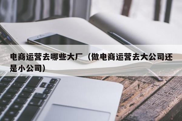 电商运营去哪些大厂（做电商运营去大公司还是小公司）