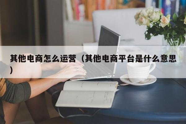 其他电商怎么运营（其他电商平台是什么意思）