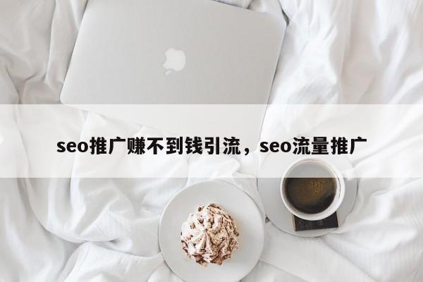 seo推广赚不到钱引流，seo流量推广