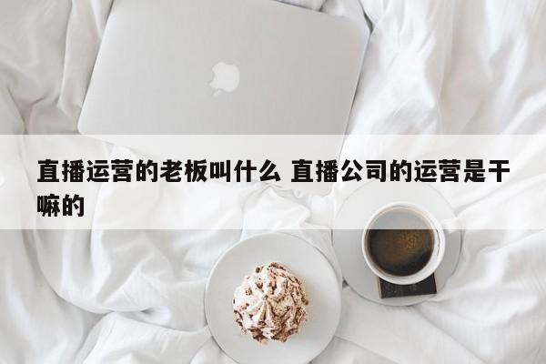 直播运营的老板叫什么 直播公司的运营是干嘛的