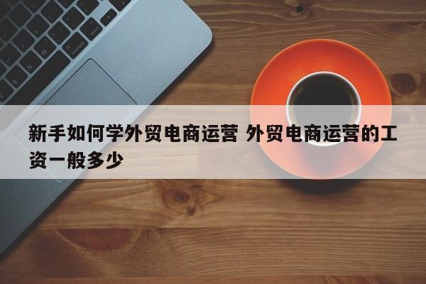 新手如何学外贸电商运营 外贸电商运营的工资一般多少