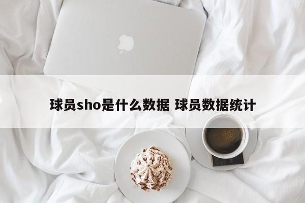 球员sho是什么数据 球员数据统计