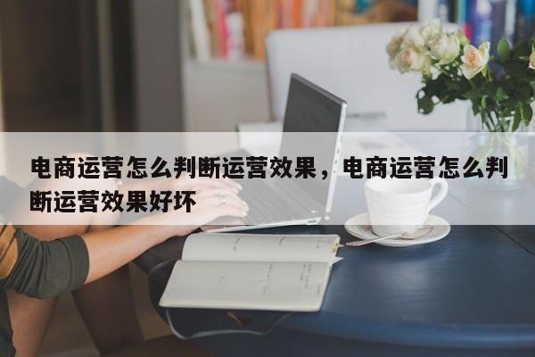 电商运营怎么判断运营效果，电商运营怎么判断运营效果好坏