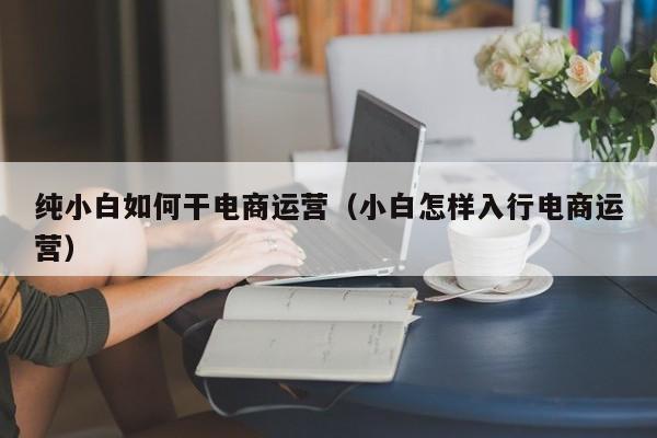 纯小白如何干电商运营（小白怎样入行电商运营）