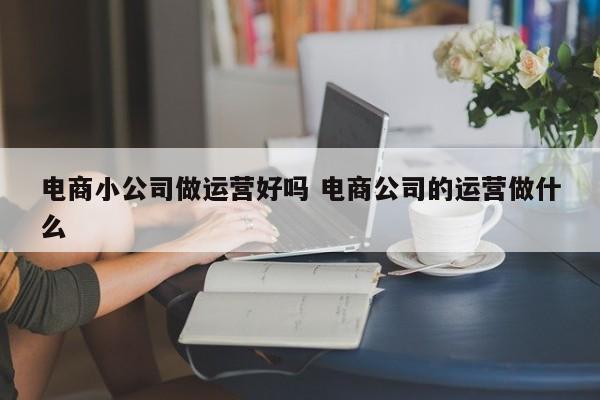 电商小公司做运营好吗 电商公司的运营做什么