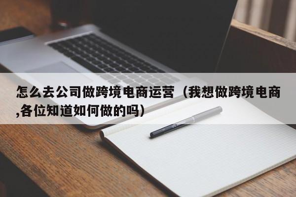 怎么去公司做跨境电商运营（我想做跨境电商,各位知道如何做的吗）