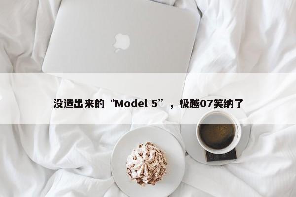 没造出来的“Model 5”，极越07笑纳了