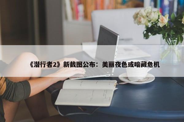 《潜行者2》新截图公布：美丽夜色或暗藏危机