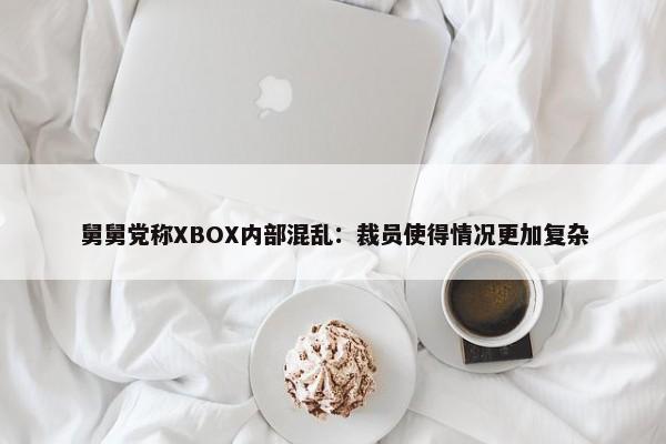 舅舅党称XBOX内部混乱：裁员使得情况更加复杂