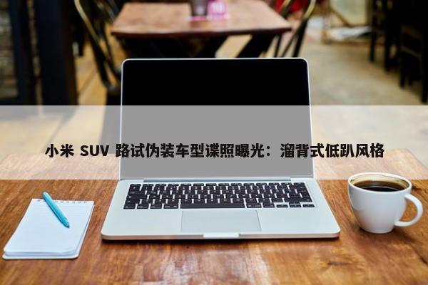 小米 SUV 路试伪装车型谍照曝光：溜背式低趴风格