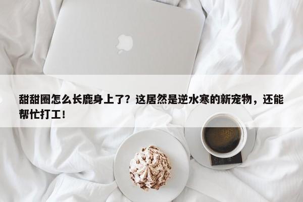 甜甜圈怎么长鹿身上了？这居然是逆水寒的新宠物，还能帮忙打工！