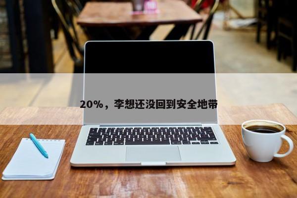 20%，李想还没回到安全地带