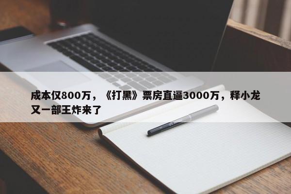 成本仅800万，《打黑》票房直逼3000万，释小龙又一部王炸来了