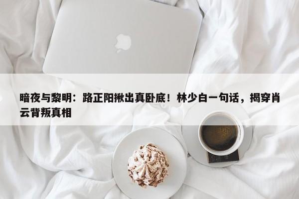 暗夜与黎明：路正阳揪出真卧底！林少白一句话，揭穿肖云背叛真相