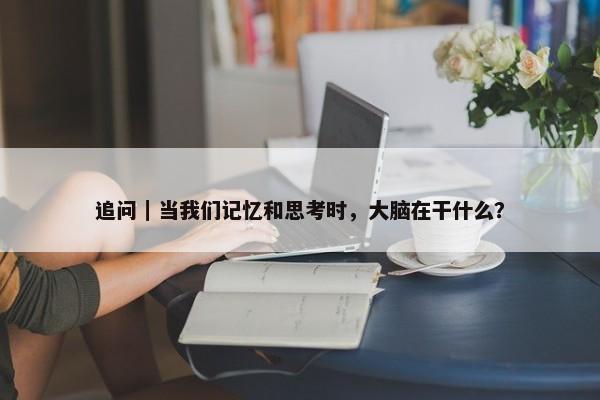 追问｜当我们记忆和思考时，大脑在干什么？