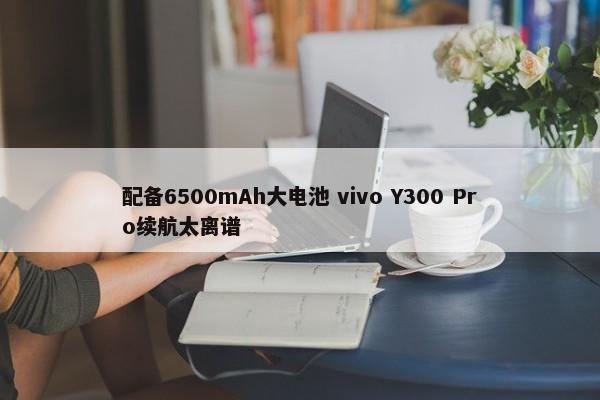 配备6500mAh大电池 vivo Y300 Pro续航太离谱