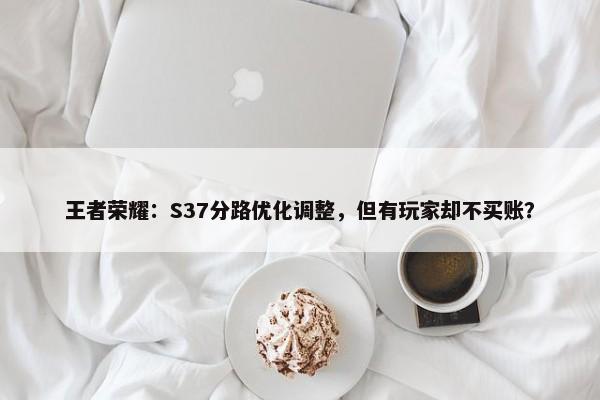 王者荣耀：S37分路优化调整，但有玩家却不买账？