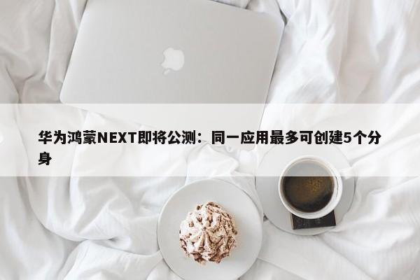 华为鸿蒙NEXT即将公测：同一应用最多可创建5个分身