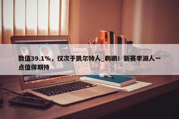 数值39.1%，仅次于凯尔特人_鹈鹕！新赛季湖人一点值得期待