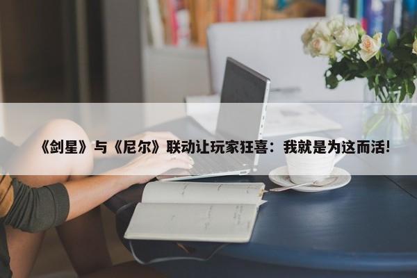 《剑星》与《尼尔》联动让玩家狂喜：我就是为这而活!