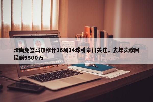 法鹰免签马尔穆什16场14球引豪门关注，去年卖穆阿尼赚9500万