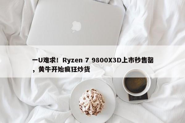 一U难求！Ryzen 7 9800X3D上市秒售罄，黄牛开始疯狂炒货