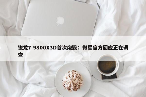 锐龙7 9800X3D首次烧毁：微星官方回应正在调查