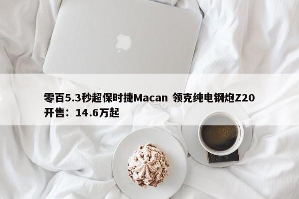 零百5.3秒超保时捷Macan 领克纯电钢炮Z20开售：14.6万起