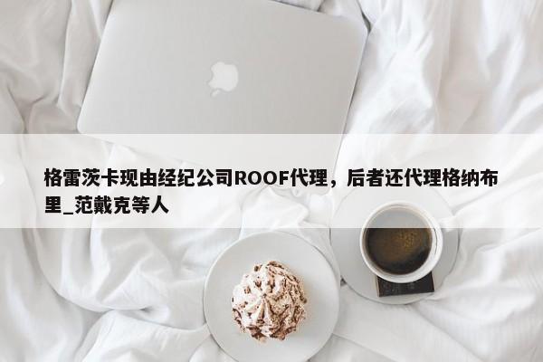 格雷茨卡现由经纪公司ROOF代理，后者还代理格纳布里_范戴克等人