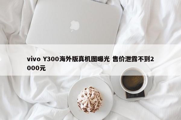 vivo Y300海外版真机图曝光 售价泄露不到2000元